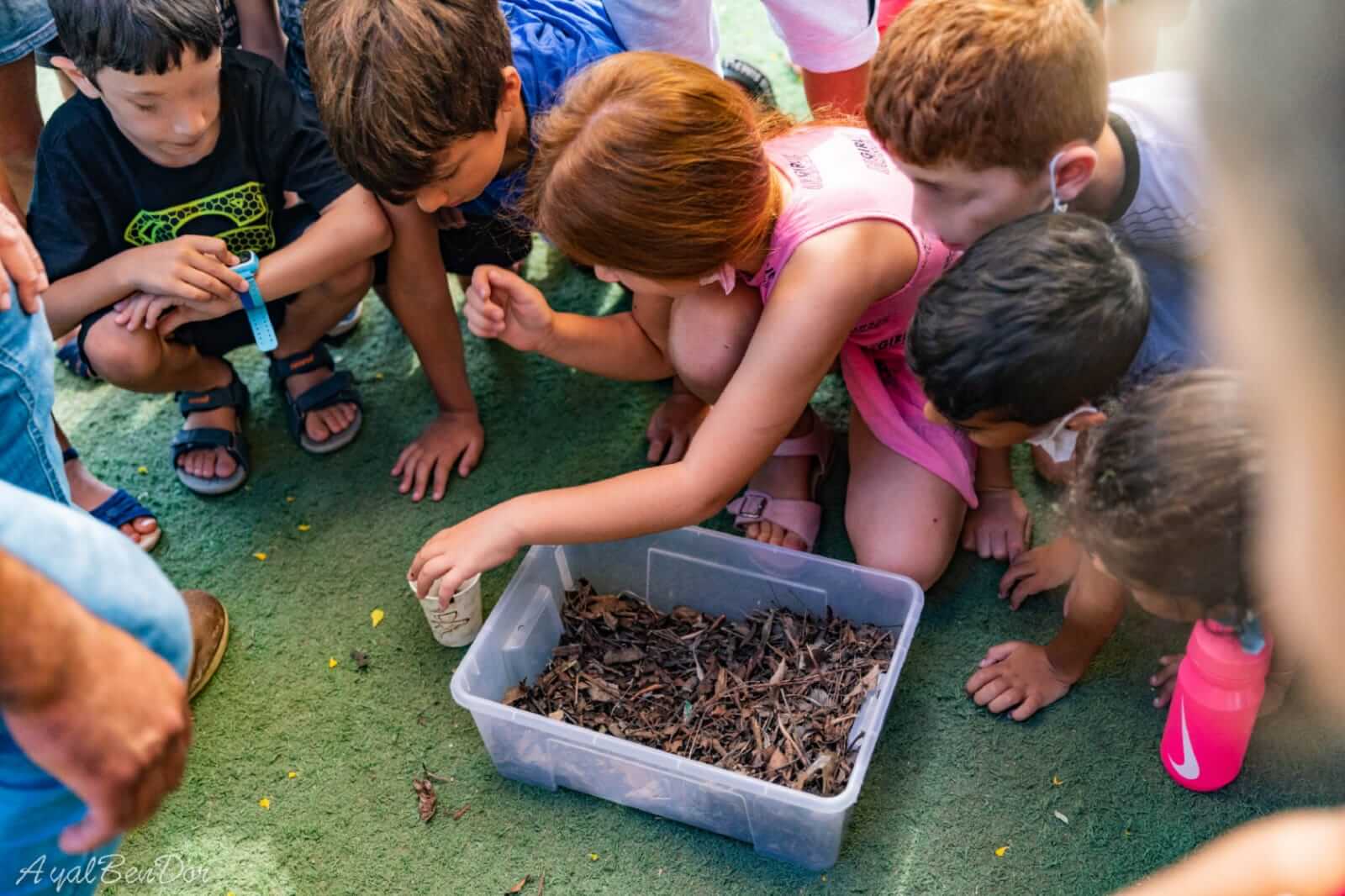 פעילות עם חיות 1