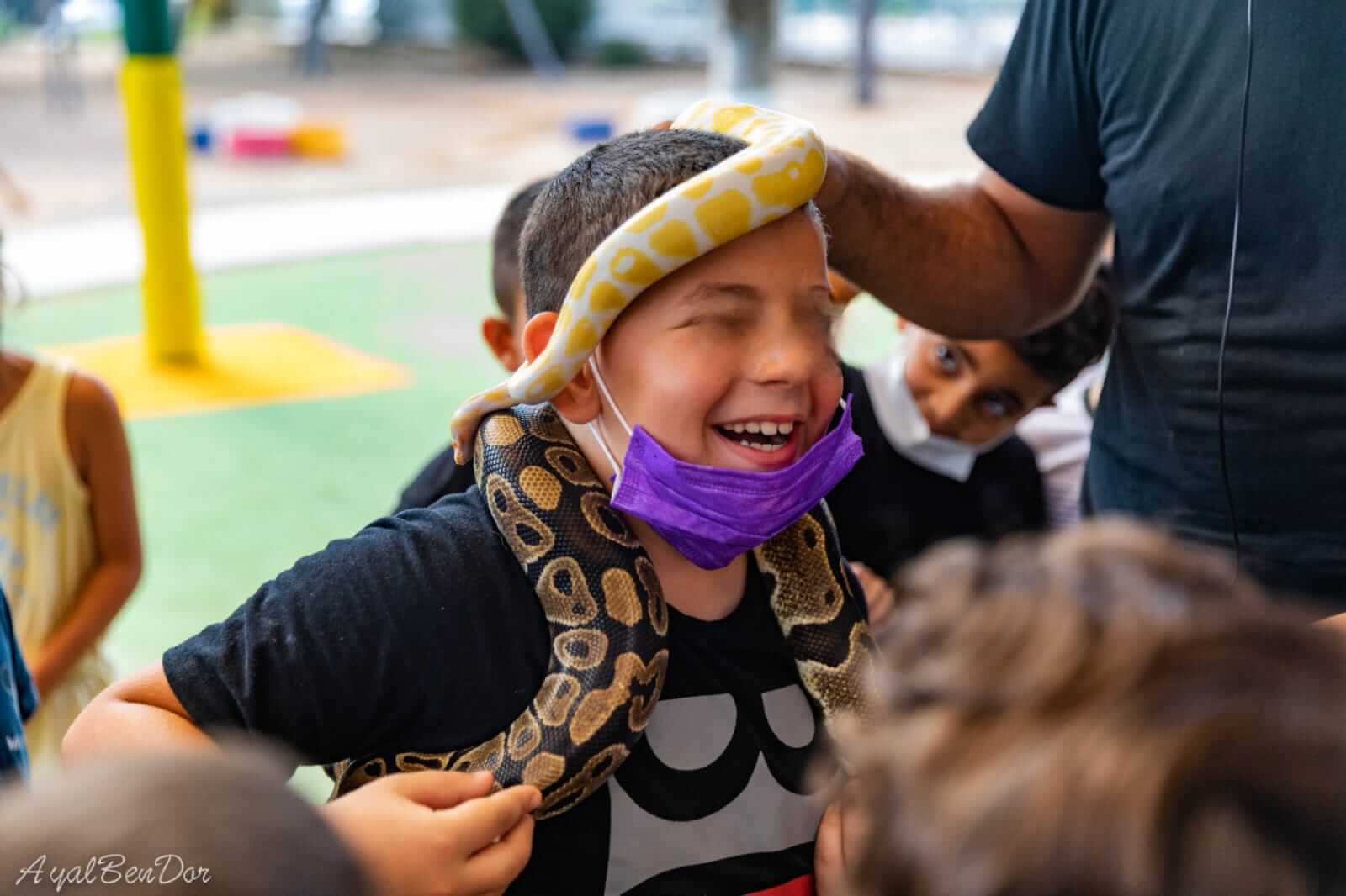 פעילות עם חיות 2