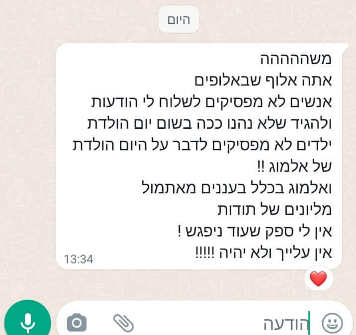 המלצה 3