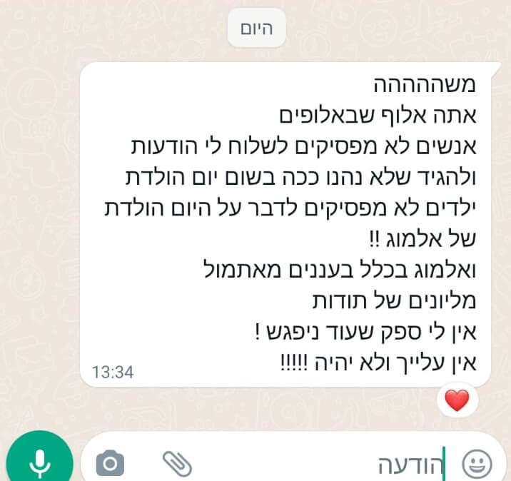 המלצה 3