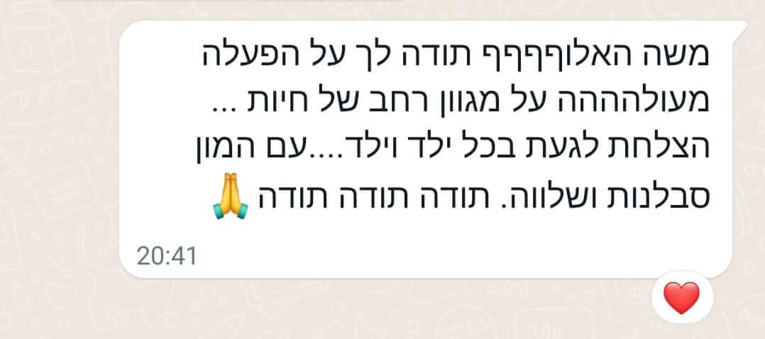 המלצה 7