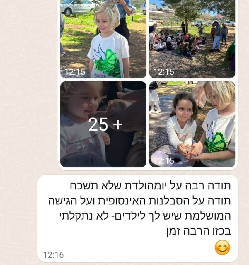 המלצה 6